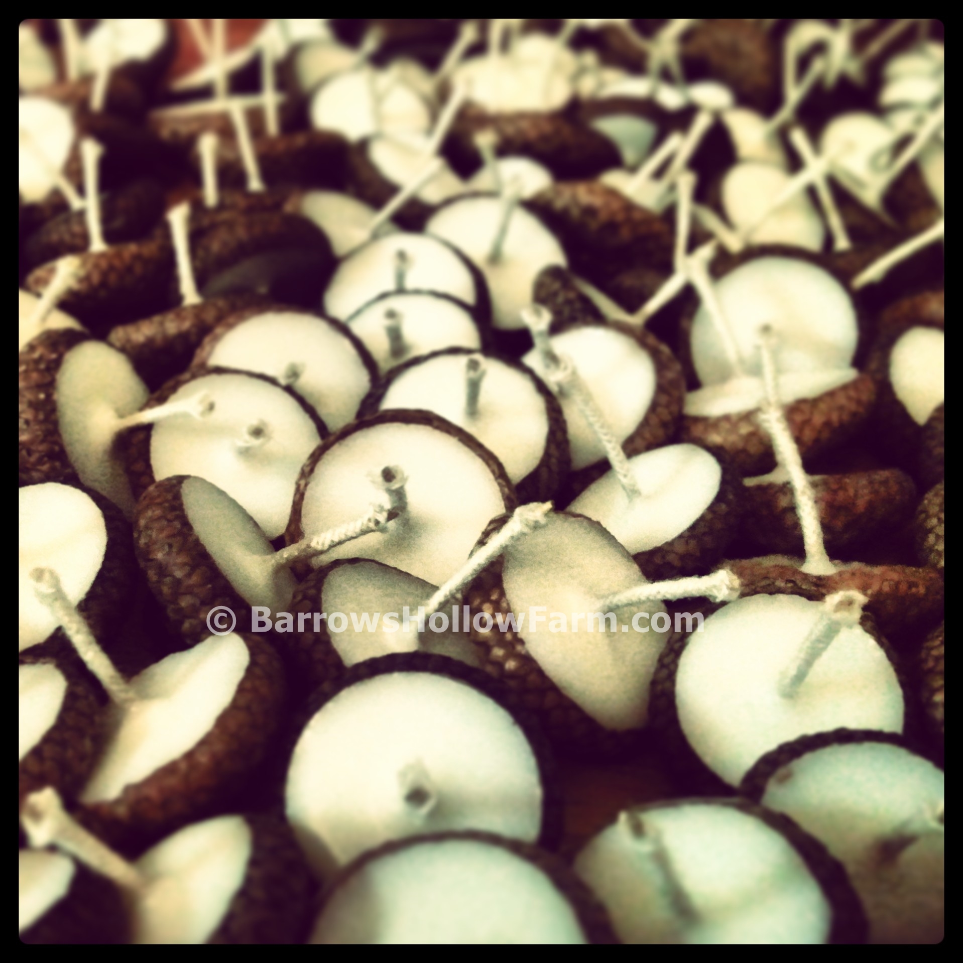 Handmade Acorn Cap Candles